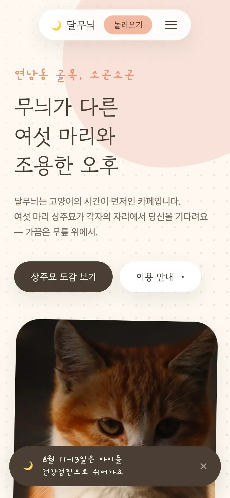 달무늬 고양이카페 홈페이지 모바일 화면