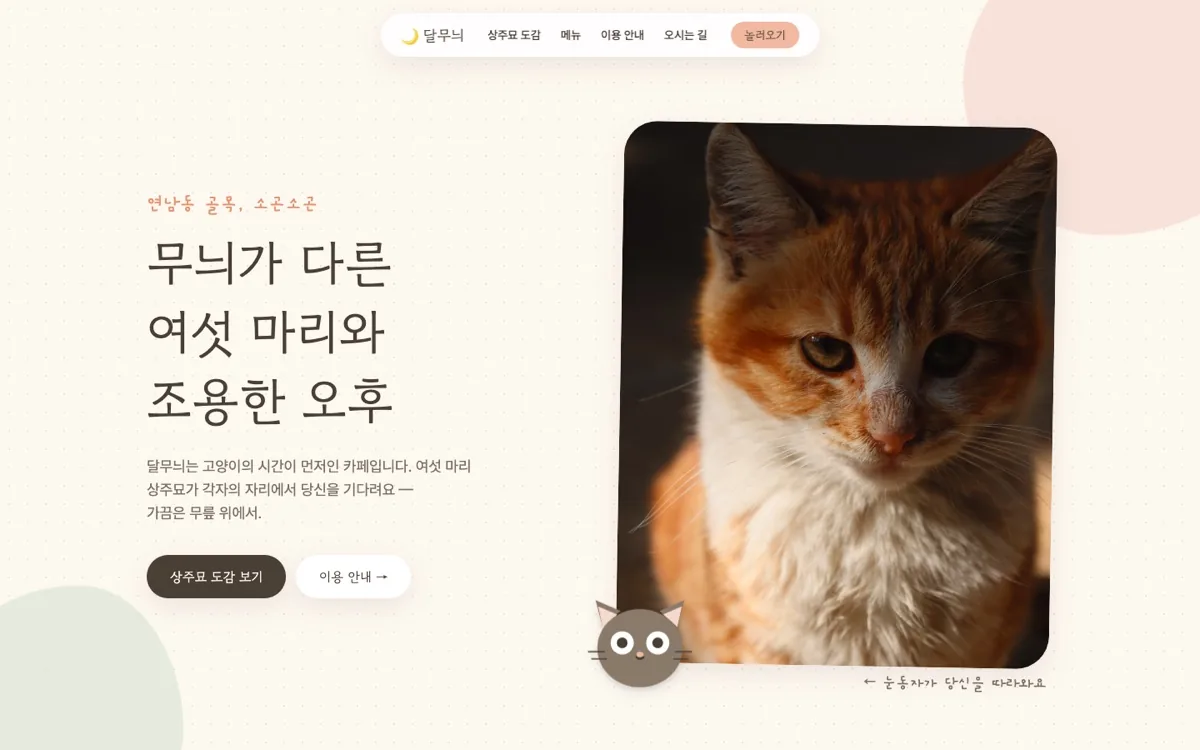 달무늬 고양이카페 홈페이지 첫 화면