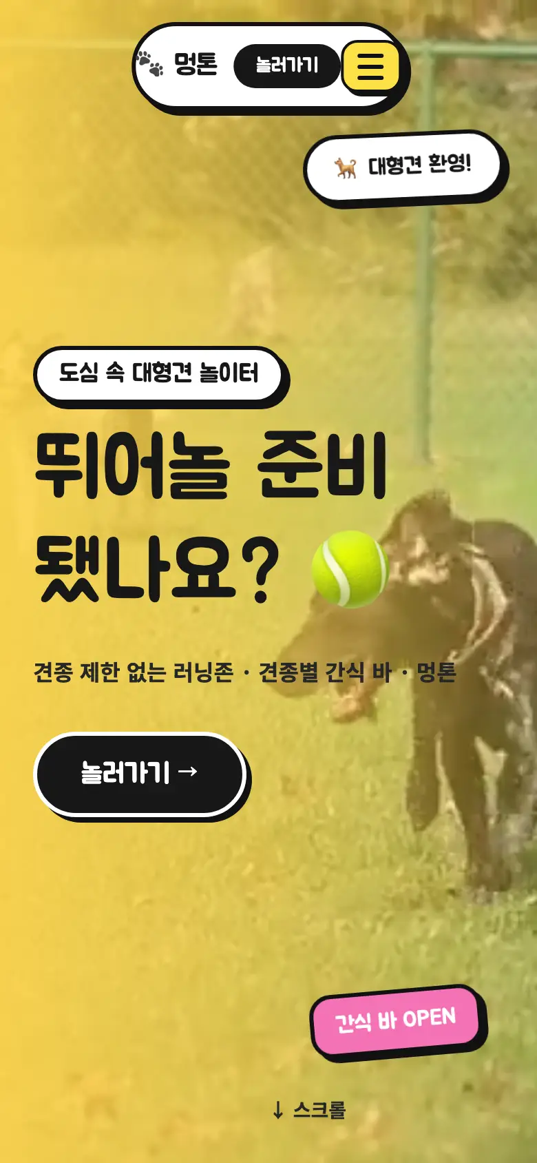 멍톤 대형견 펫카페 홈페이지 모바일 화면